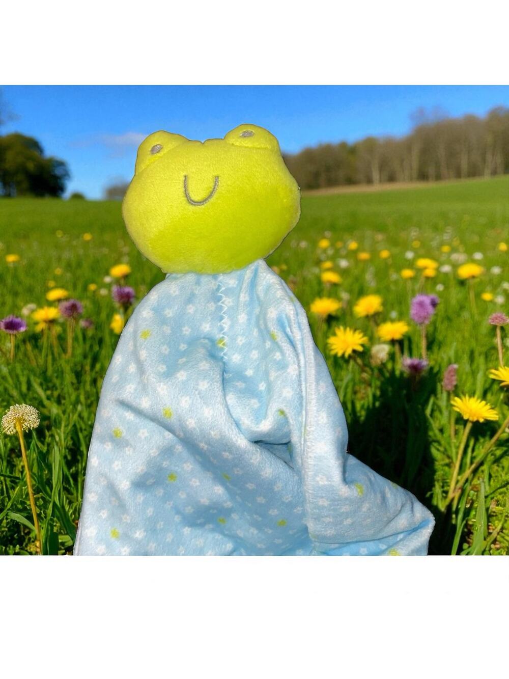 Baby Security Blanket Blue Green Star Frog Lovey Rattle Carters Precious Firsts